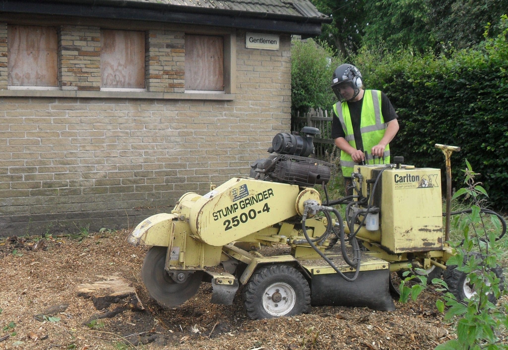 tree surgeon using a Stump grinder to remove a tree stump