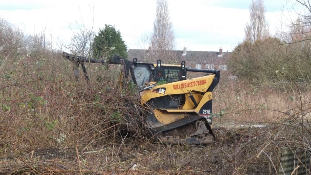 Tree mulcher removing trees on tree clearence job Tree mulcher removing trees on tree clearence job