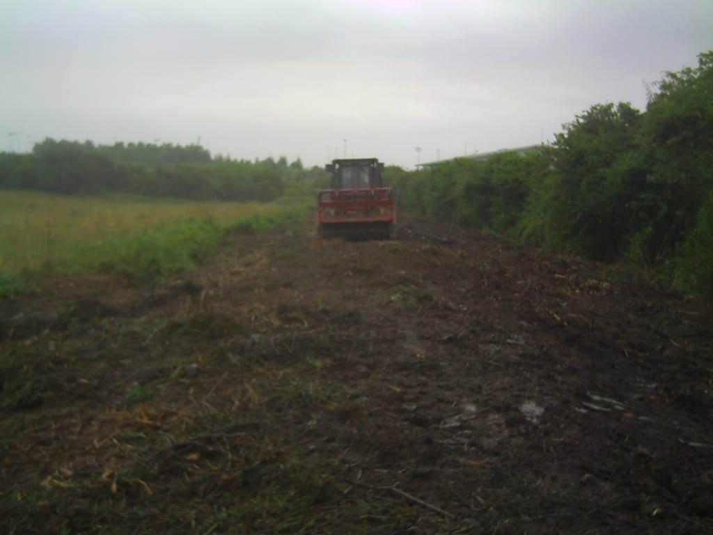 Tree clearance site after using tree mulcher Tree clearance site after using tree mulcher