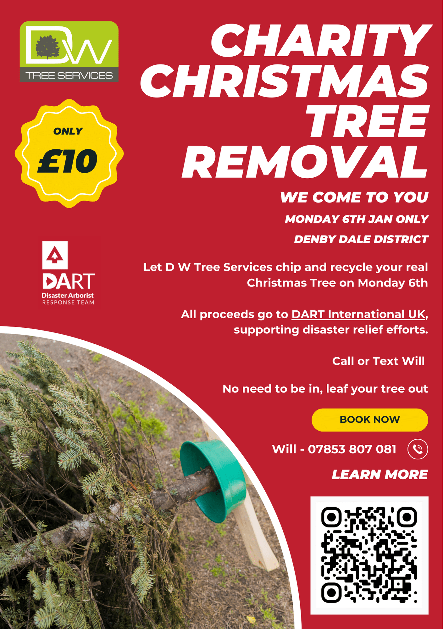 D W Tree Services Charity X mas Tree disposal D W Tree Services Charity X mas Tree disposal