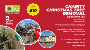 D W Tree Services Charity X mas Tree disposal (1920 x 1080 px) (1)