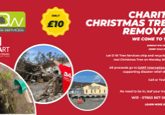 D W Tree Services Charity X mas Tree disposal (1920 x 1080 px) (1)